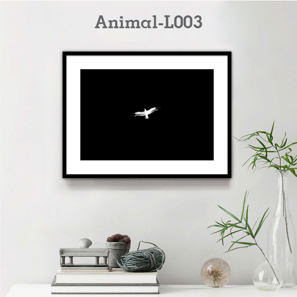 Animal-L003