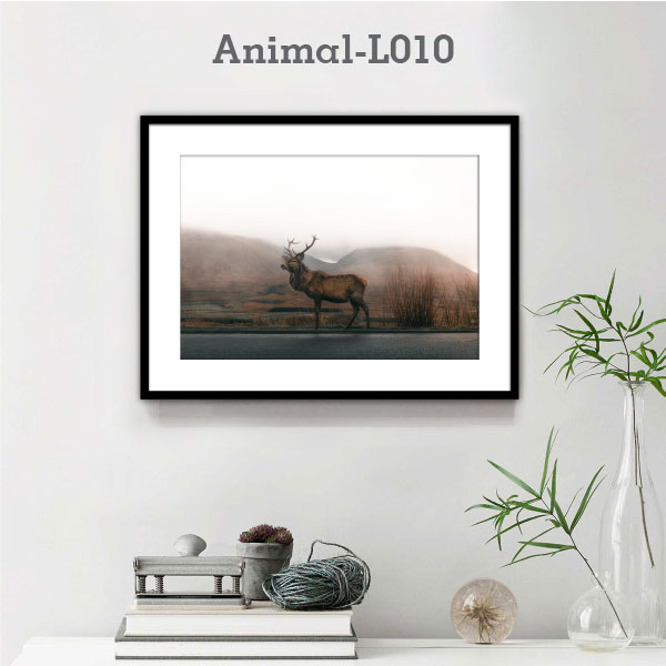 Animal-L010