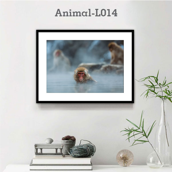 Animal-L014