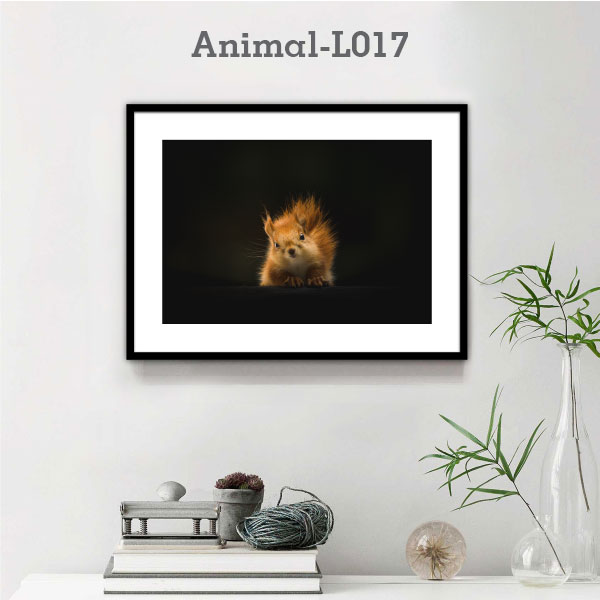 Animal-L017