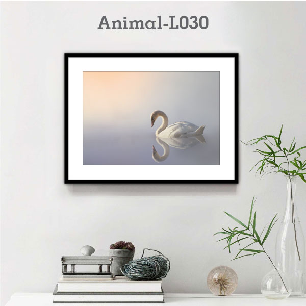 Animal-L030