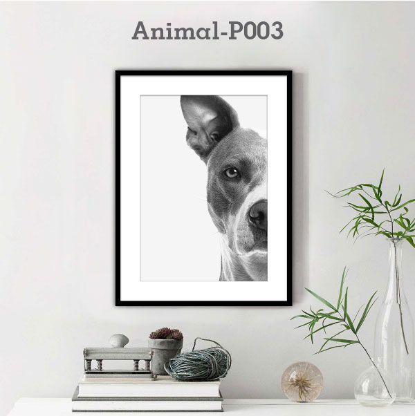 Animal-P003