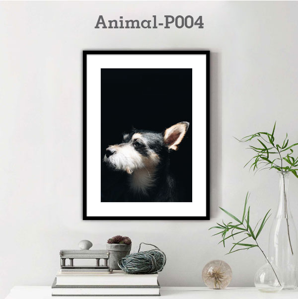 Animal-P004