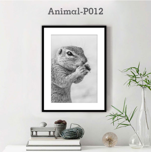 Animal-P012