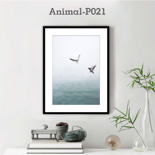 Animal-P021