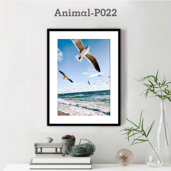 Animal-P022