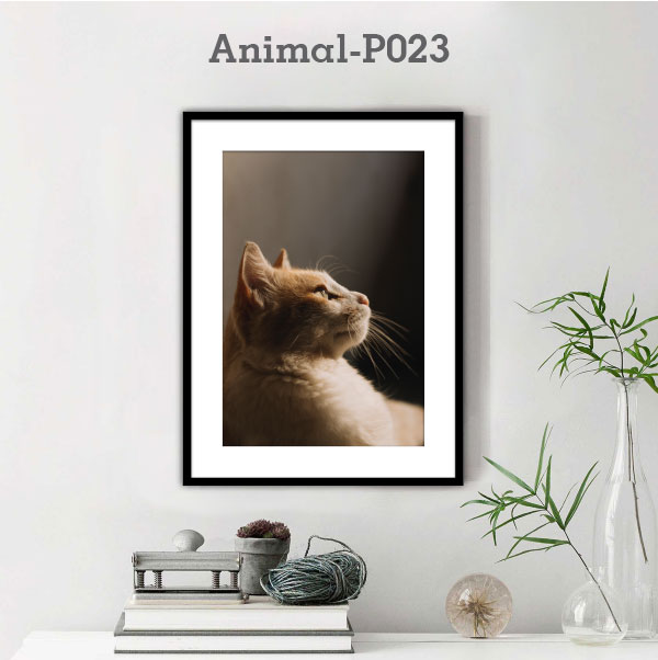 Animal-P023