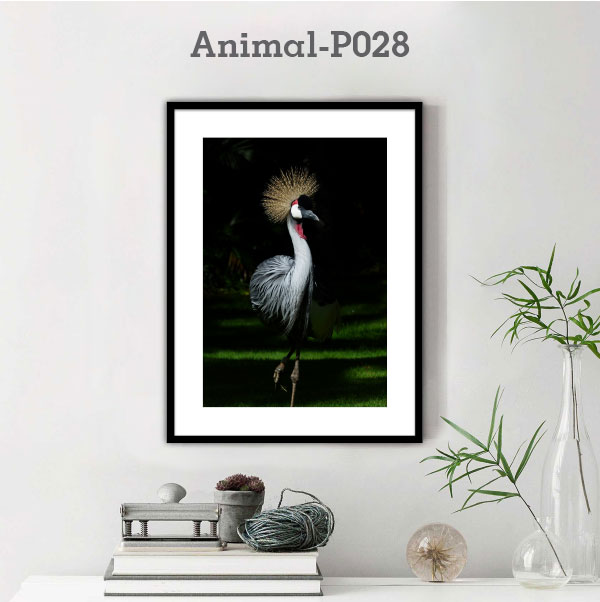 Animal-P028