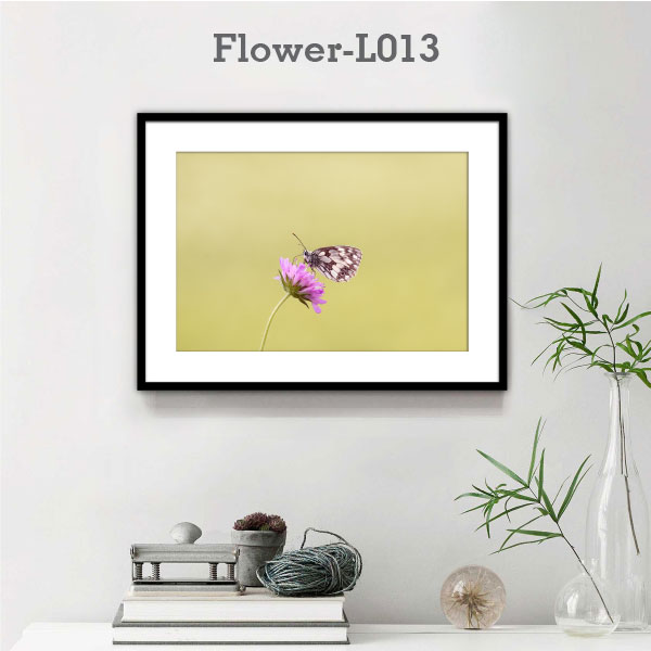 Flower-L013