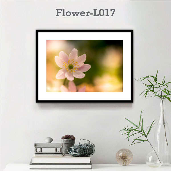 Flower-L017