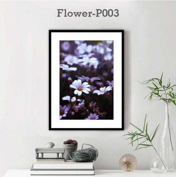 Flower-P003