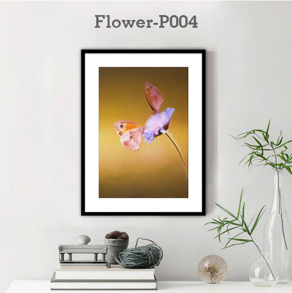 Flower-P004