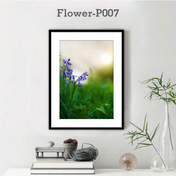 Flower-P007