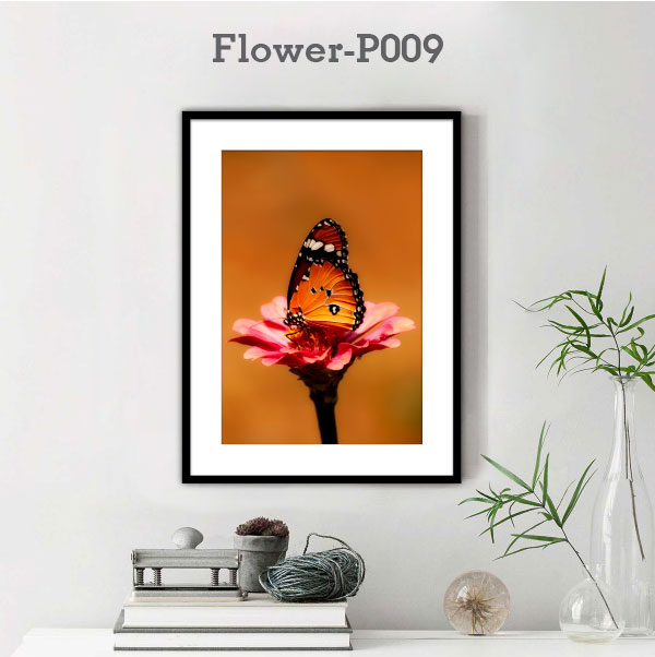 Flower-P009