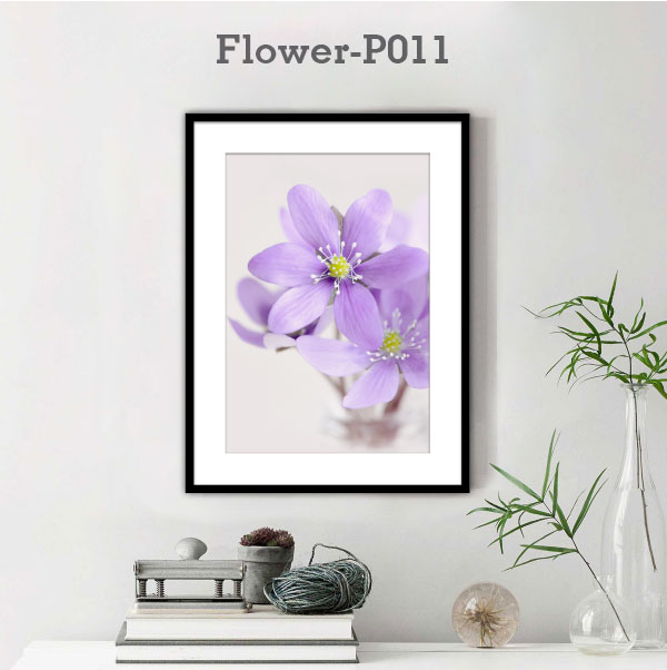 Flower-P011