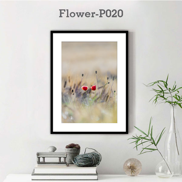 Flower-P020