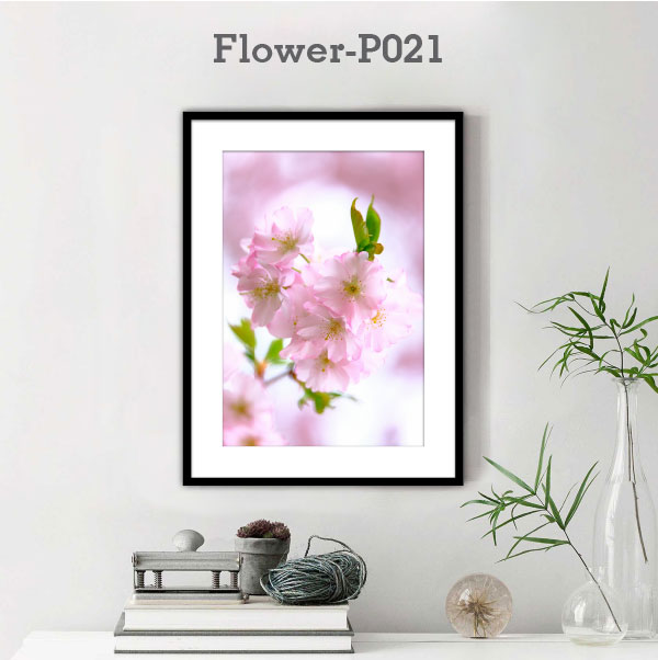 Flower-P021