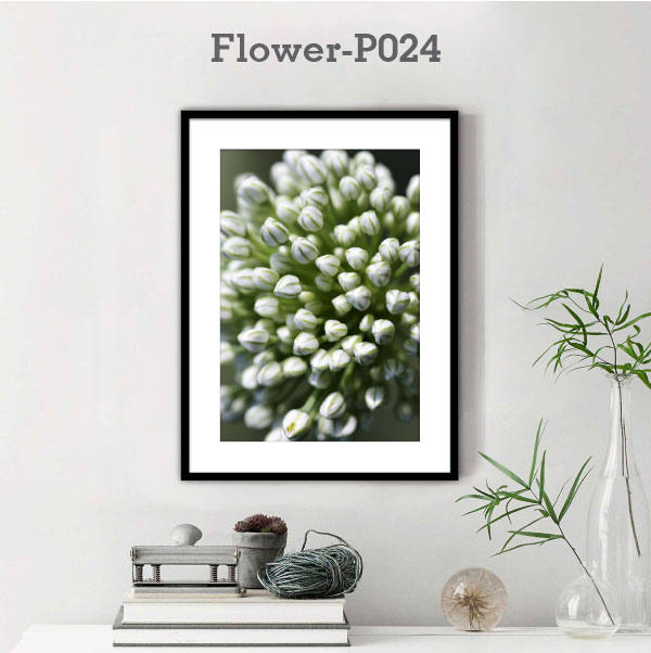 Flower-P024